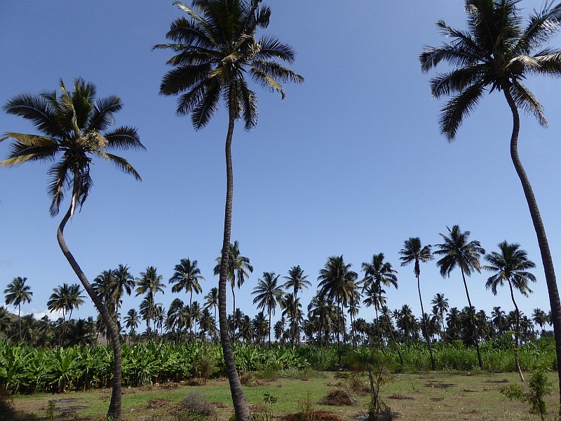 Cabo Verde Kapverden Steib Pur Reisen