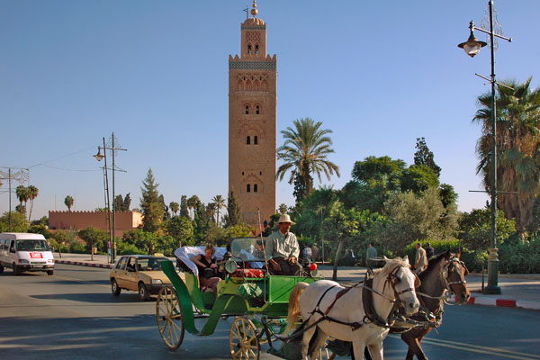 marokko steib pur reisen