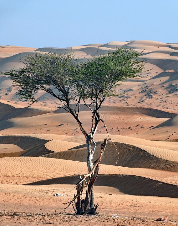 Wahaiba-Sands. steib-pur-reisen