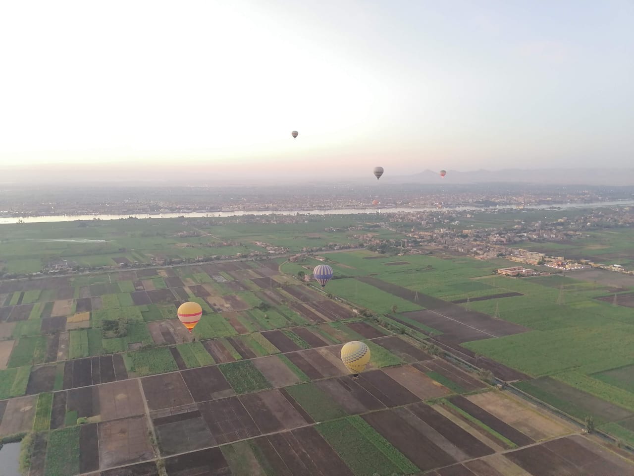 ballon-luxor-by-steib-pur-reisen