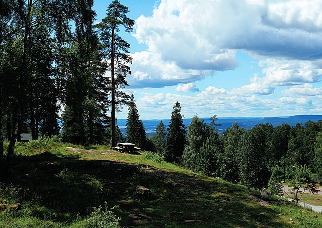 holmenkollen-by-steib-pur-reisen