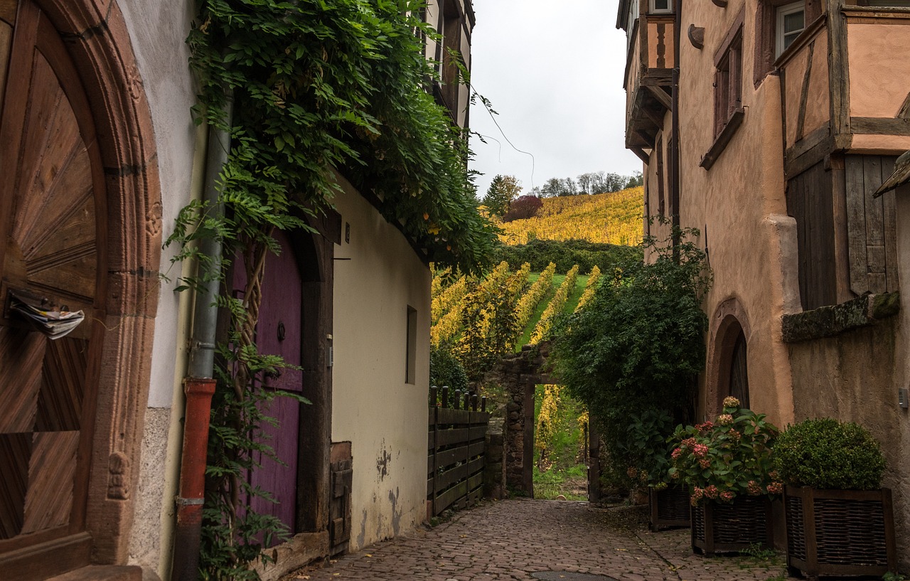 alsace-elsass-by-steib-pur-reise